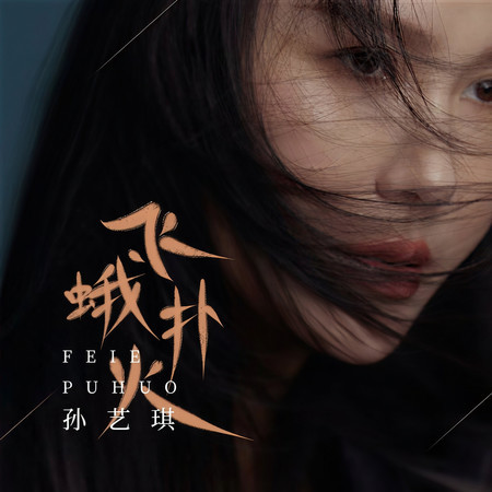 飛蛾撲火