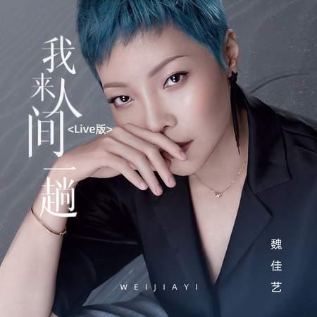 我來人間一趟