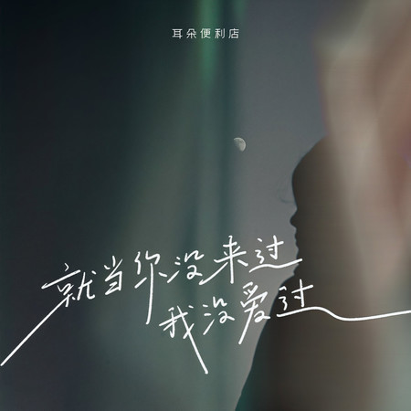 就當你沒來過我沒愛過
