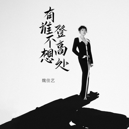 有誰不想登高處