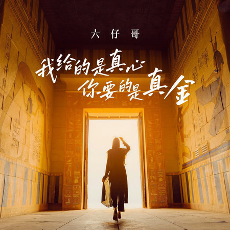 我給的是真心你要的是真金