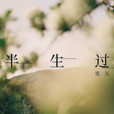 半生過
