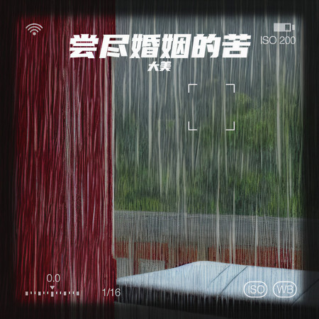 嚐盡婚姻的苦