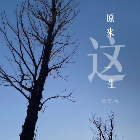 原來這一生