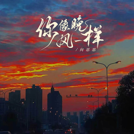 你像晚風一樣