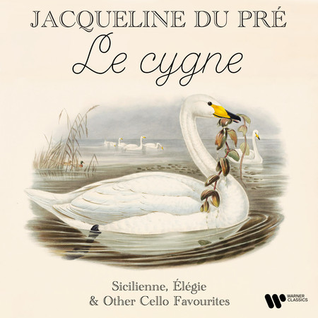 "Le cygne / The Swan" - Sicilienne, Élégie & Other Cello Favourites