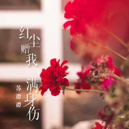 紅塵贈我滿身傷