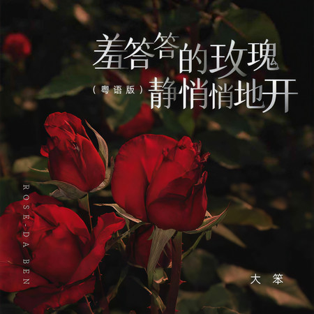 羞答答的玫瑰靜悄悄地開