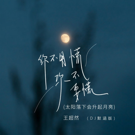 你不要慌你不用慌