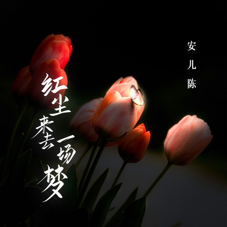 紅塵來去一場夢