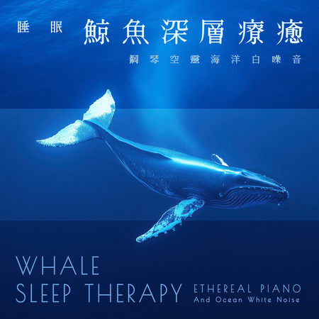 睡眠鯨魚深層療癒 鋼琴空靈海洋白噪音 (Whale Sleep Therapy：Ethereal Piano and Ocean White Noise)