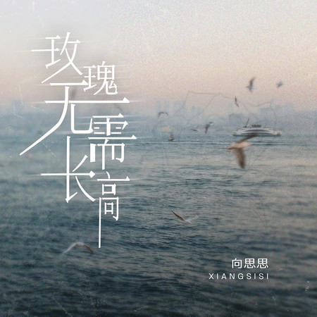 玫瑰無需長高