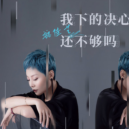 我下的決心還不夠嗎
