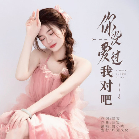 你沒愛過我對吧