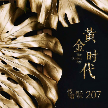 微唱精選作品207-黃金時代