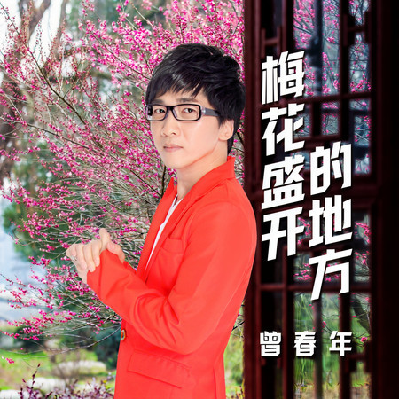 梅花盛開的地方