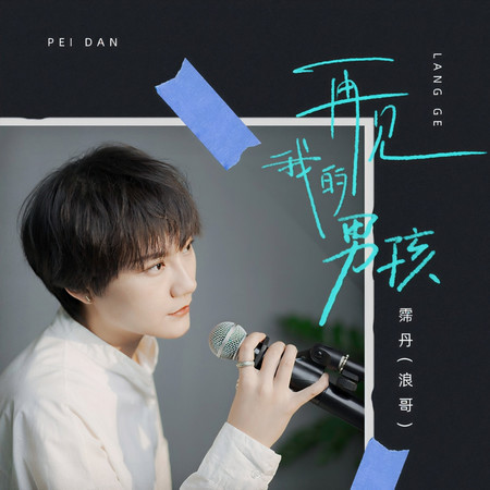 再見我的男孩