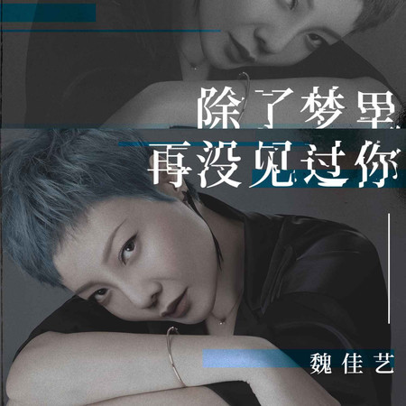 除了夢裏再沒見過你