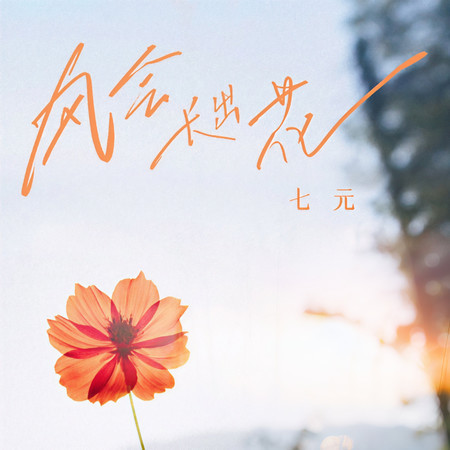 風會長出花