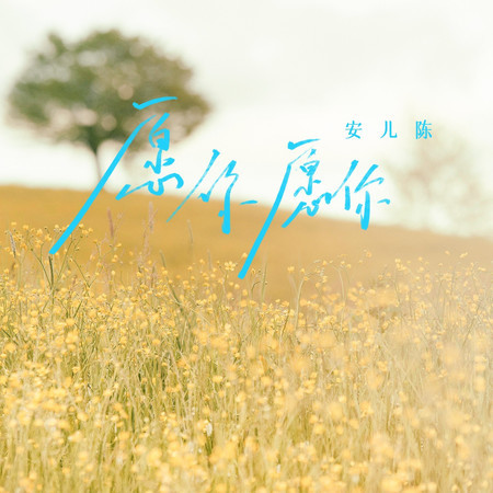 願你願你