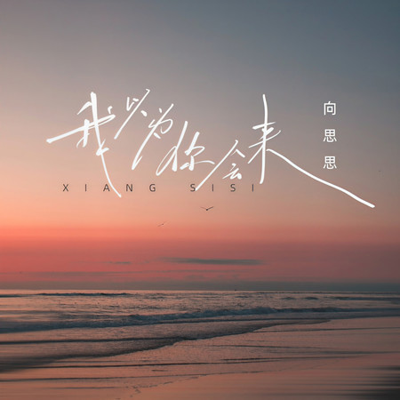 我以爲你會來