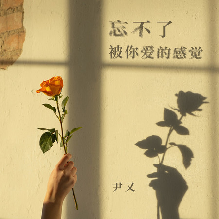 忘不了被你愛的感覺 (伴奏)