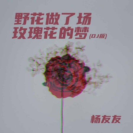 野花做了場玫瑰花的夢
