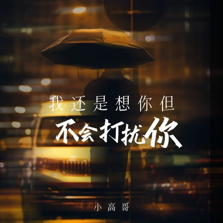 我还是想你但不会打扰你
