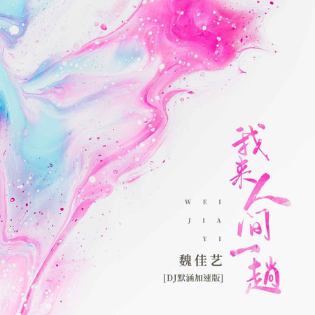 我來人間一趟 (無)