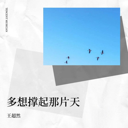 多想撐起那片天