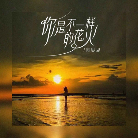 你是不一樣的花火