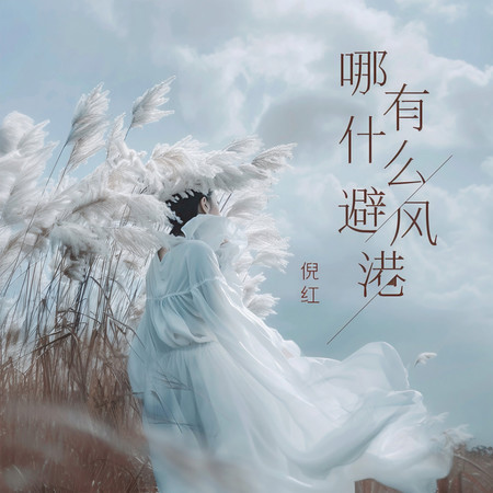 哪有什麼避風港
