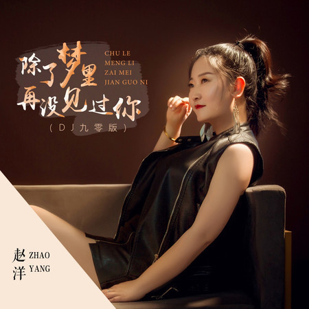 除了夢裏再沒見過你