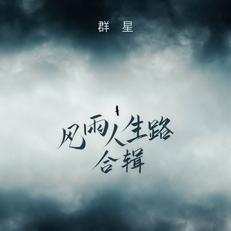風雨人生路合輯
