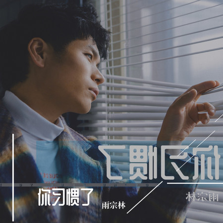 你習慣了