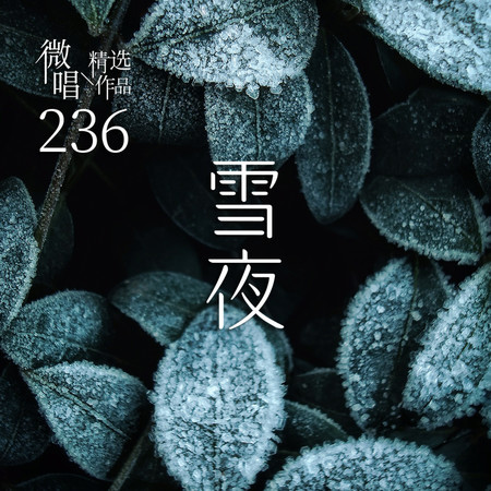 微唱精選作品236-雪夜