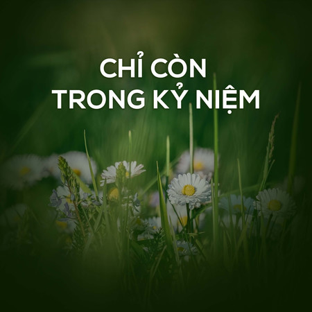 Chỉ Còn Trong Kỷ Niệm
