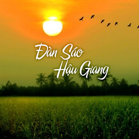 Đàn Sáo Hậu Giang