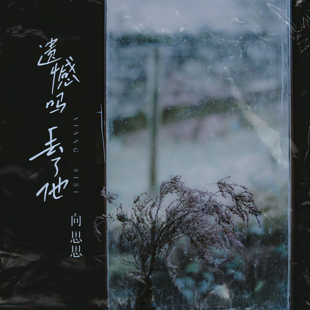 遺憾嗎丟了他