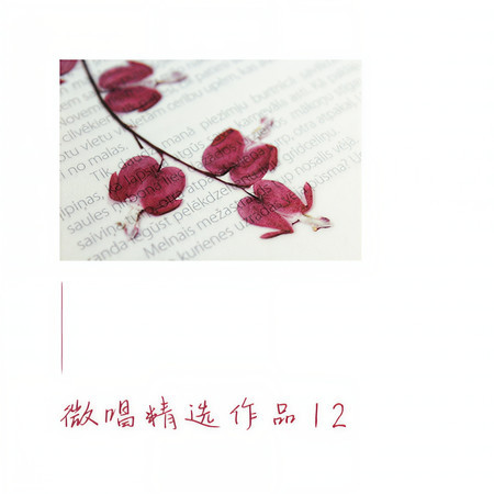 微唱精選作品12