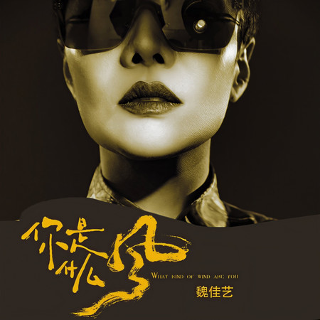 你是什麼風