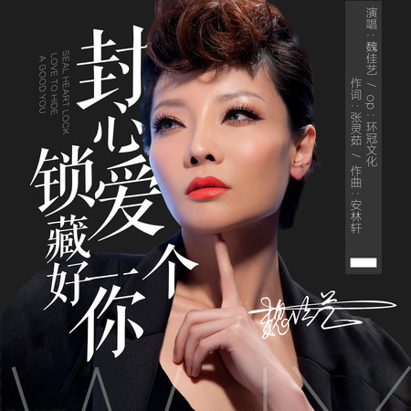 封心鎖愛藏好一個你