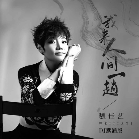 我來人間一趟 (無)