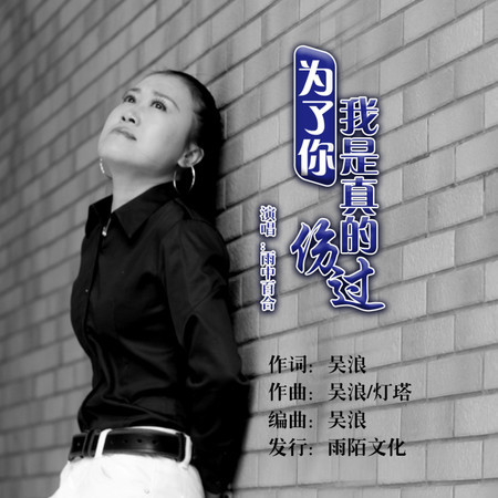 爲了你我是真的傷過