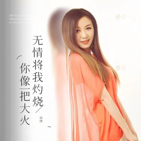 你像一把大火无情将我灼烧