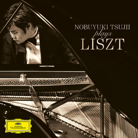 Liszt: 《巡礼の年 第3年》 S.163: 第4曲: エステ荘の噴水