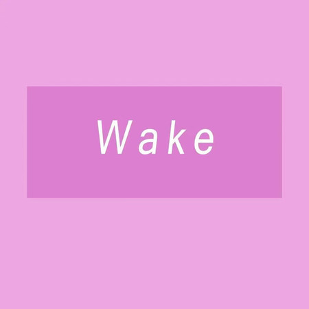 Wake (DJ版)