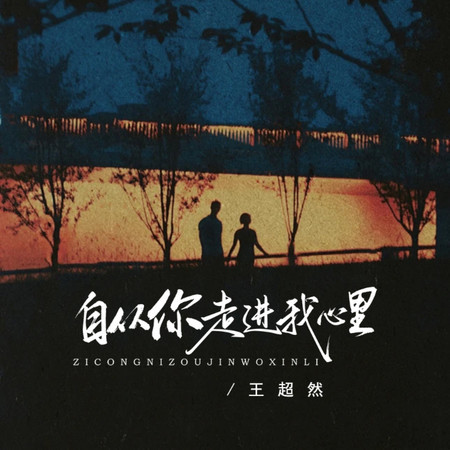 自從你走進我心裏