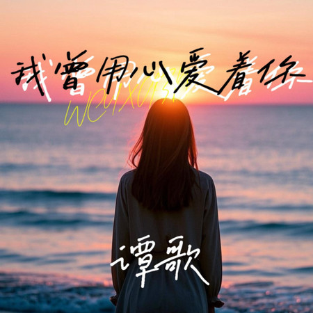 我曾用心愛着你 (深情女版)