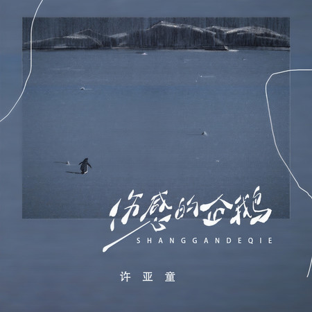 傷感的企鵝